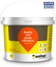 Tylon Superflex Tile Adhesive 5kg