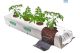 Coco-Peat Grower Bag