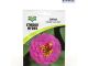 Starke Ayres Seeds Flower